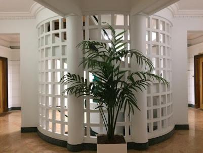 Magnifique Appartement Jean Medecin/Notre Dame ニース エクステリア 写真